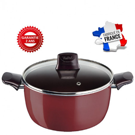 Tefal Pleasure fait tout 26 cm avec Couvercle TF D5055252